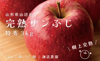 《先行予約》2024年 山形県産 完熟 サンふじ りんご 特秀品 3kg 7～12個 2024年12月上旬から順次発送 リンゴ フルーツ F20A-902