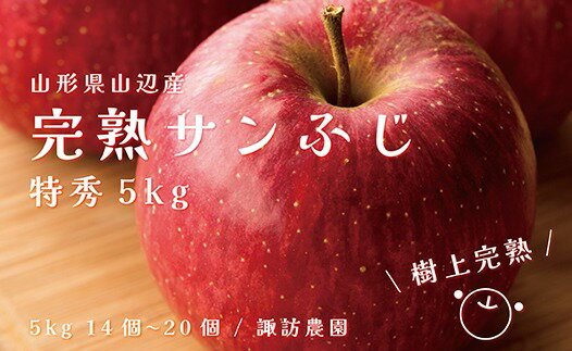 【ふるさと納税】 《先行予約》2024年 山形県産 完熟 サ