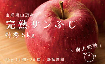 《先行予約》2024年 山形県産 完熟 サンふじ りんご 特秀品 5kg 14～20個 2024年12月上旬から順次発送 リンゴ フルーツ F20A-903