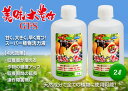 【ふるさと納税】 植物活力液 美味大豊作 送料無料 GT-S 2L(1L×2個) 肥料 園芸 野菜 花 作物 F21A-422