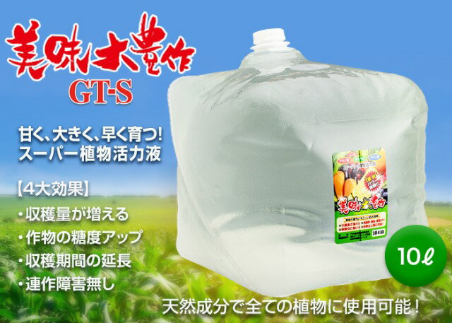 ガーデニング・農業(園芸薬剤・植物活性剤)人気ランク8位　口コミ数「0件」評価「0」「【ふるさと納税】 植物活力液 美味大豊作 GT-S 10L 肥料 園芸 野菜 花 作物 F21A-424」