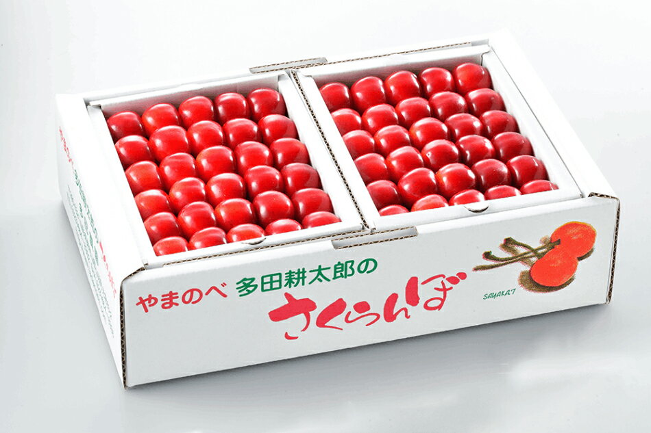 [先行予約]2024年 山形県産 紅秀峰 本詰約1kg 2L やまのべ多田耕太郎のさくらんぼ F20A-054