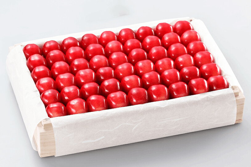 【ふるさと納税】《先行予約》2025年 山形県産 特選ダイアナブライト 桐箱詰め 約1100g 2L以上 やまのべ多田耕太郎のさくらんぼ ギフト 贈答 贈り物 F20A-063