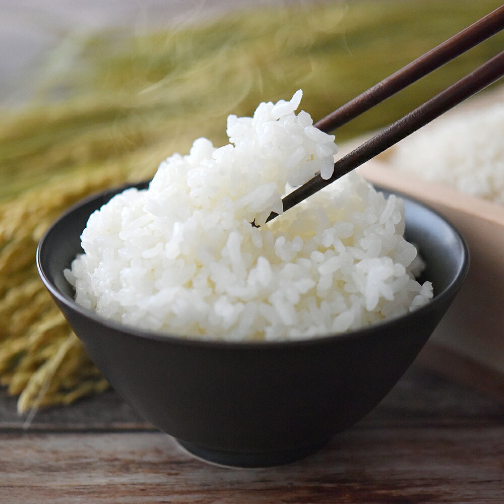【先行予約】 2024年（令和6年）産 山形県産 つや姫 精米 5kg sunnyfarm小関 送料無料 sk-tssxb5 ※沖縄・離島への配送不可