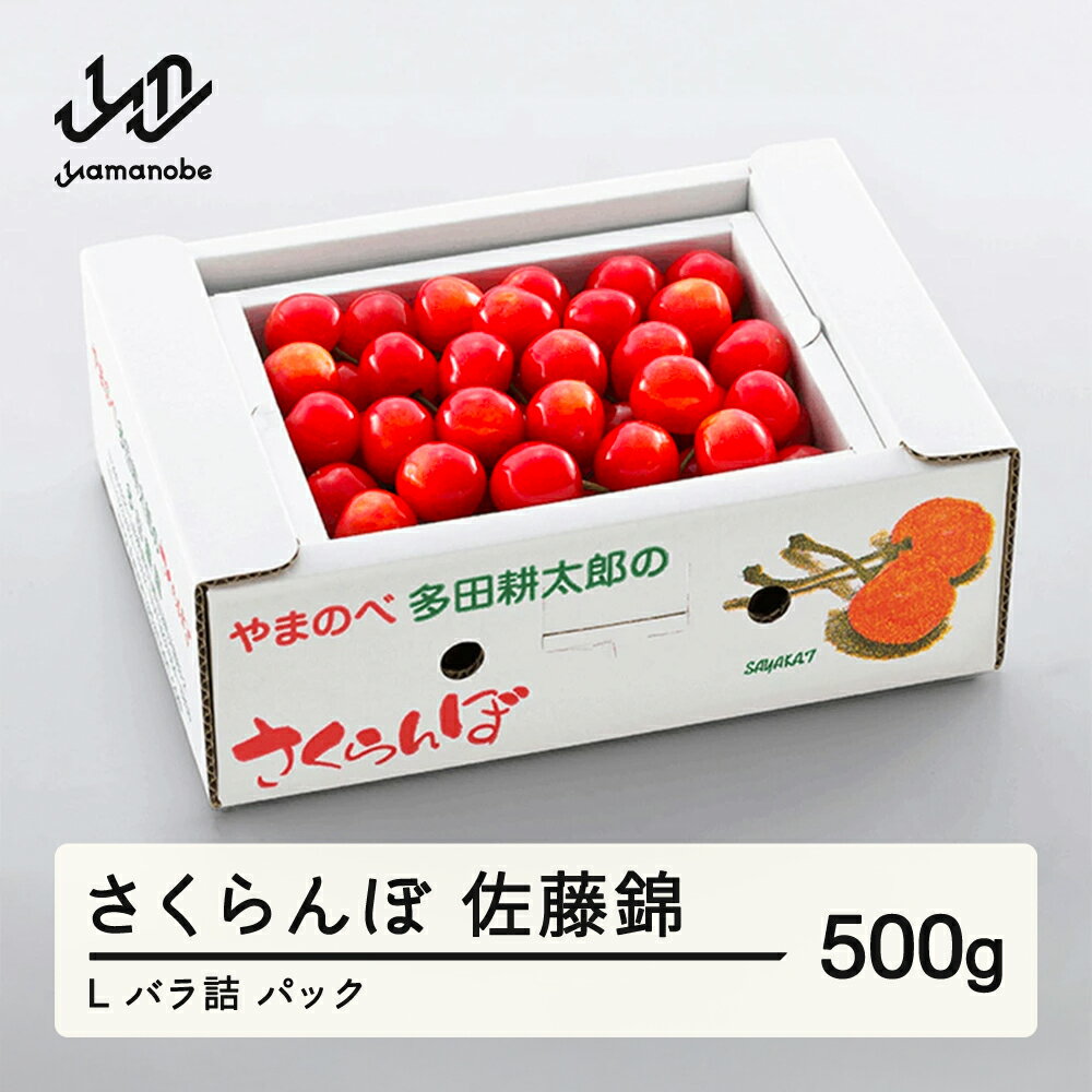 【ふるさと納税】 《先行予約》 2026年 山形県産 佐藤錦 バラ詰め(パック）500g やまのべ多田耕太郎のさくらんぼ サクランボ 多田農園 予約 フルーツ くだもの 果物 デザート 山形県 山辺町 送料無料 F20A-038