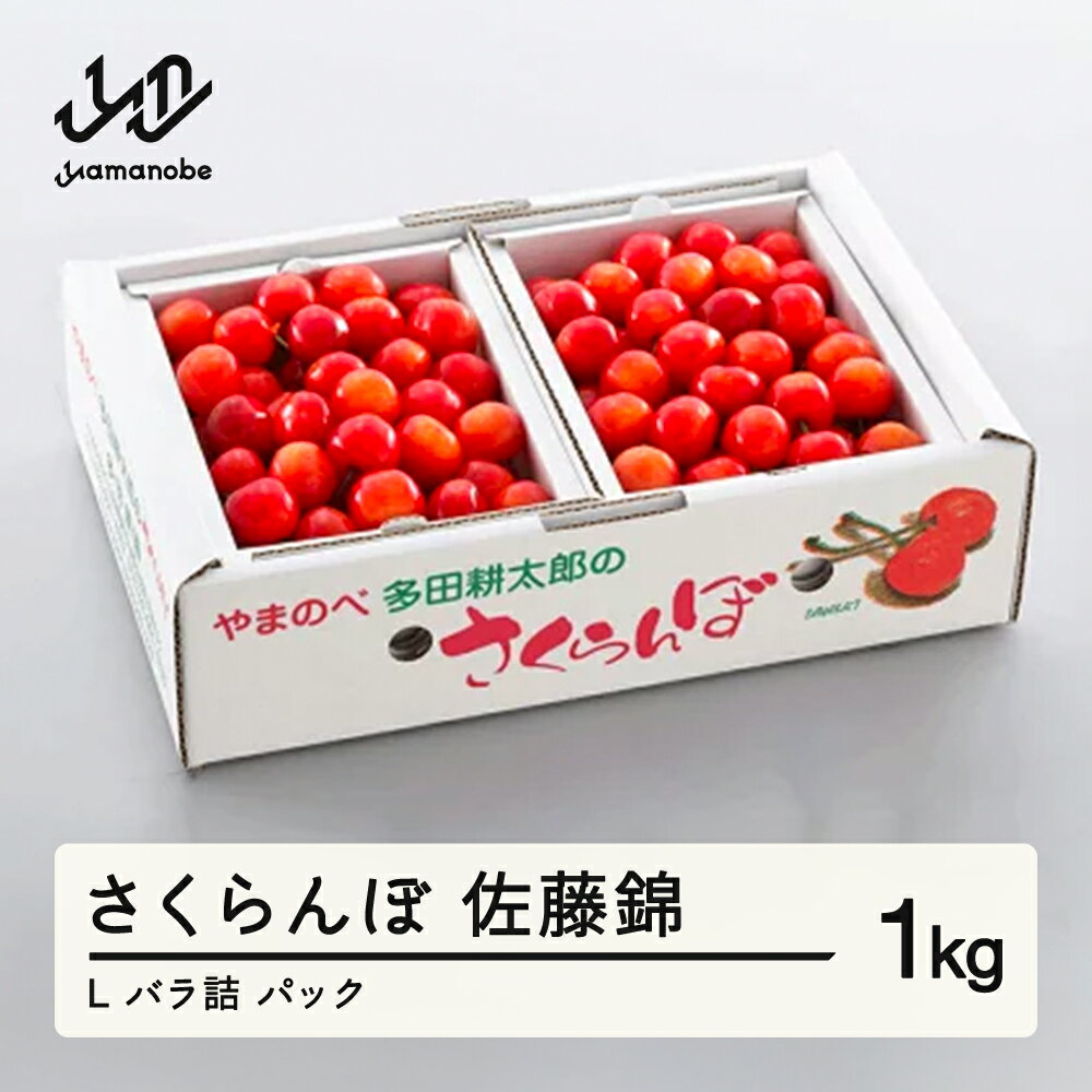 【ふるさと納税】 《