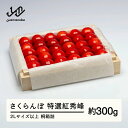 【ふるさと納税】《先行予約》2025年 山形県産 特選紅秀峰 桐箱詰め 約300g 2L以上 やまのべ多田耕太郎のさくらんぼ ギフト 贈答 贈り物 送料無料 F...