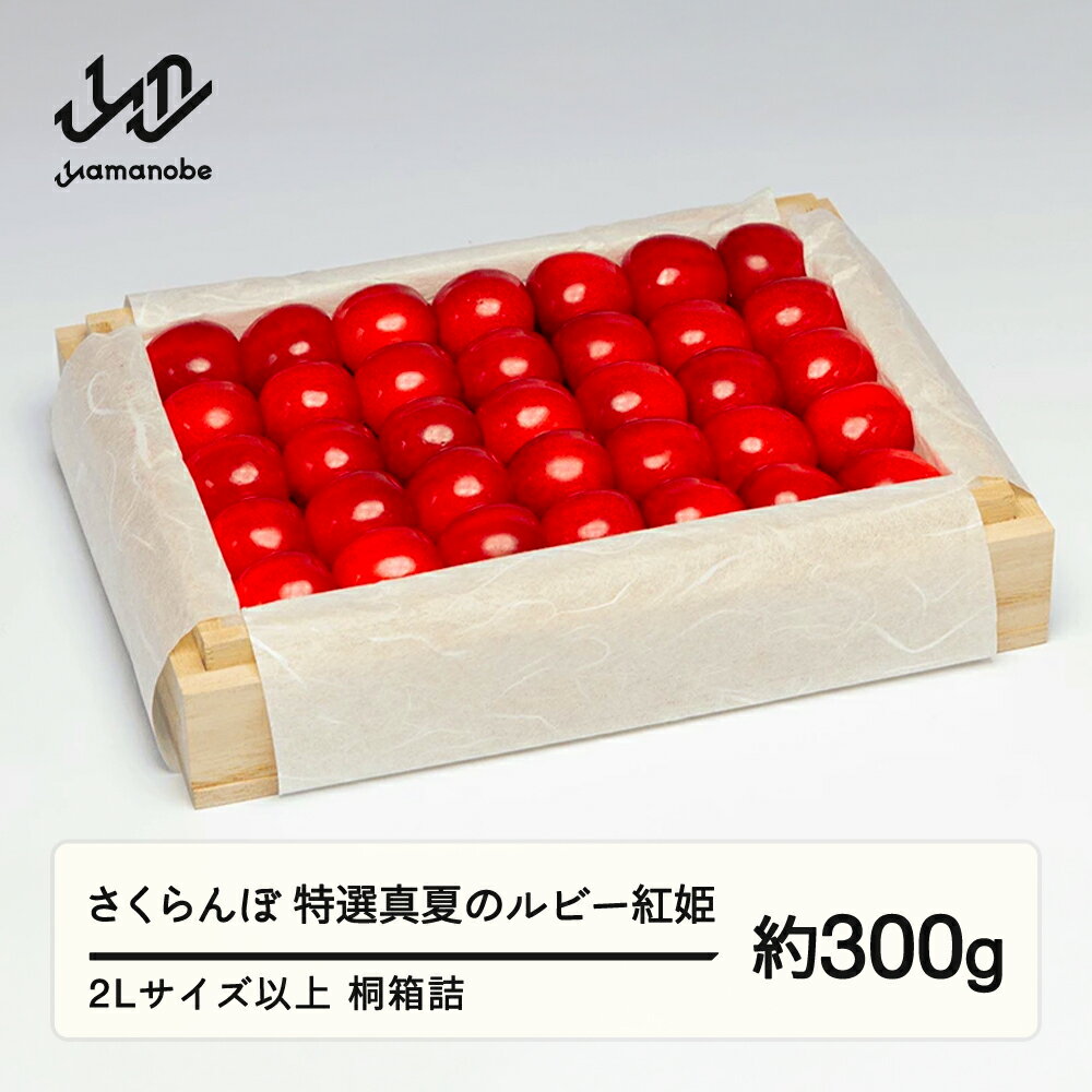 【ふるさと納税】《先行予約》2026年 山形県産 特選「真夏のルビー紅姫」桐箱詰め 約300g やまのべ多田耕太郎のさくらんぼ ギフト 贈答 贈り物 送料無料 F20A-052