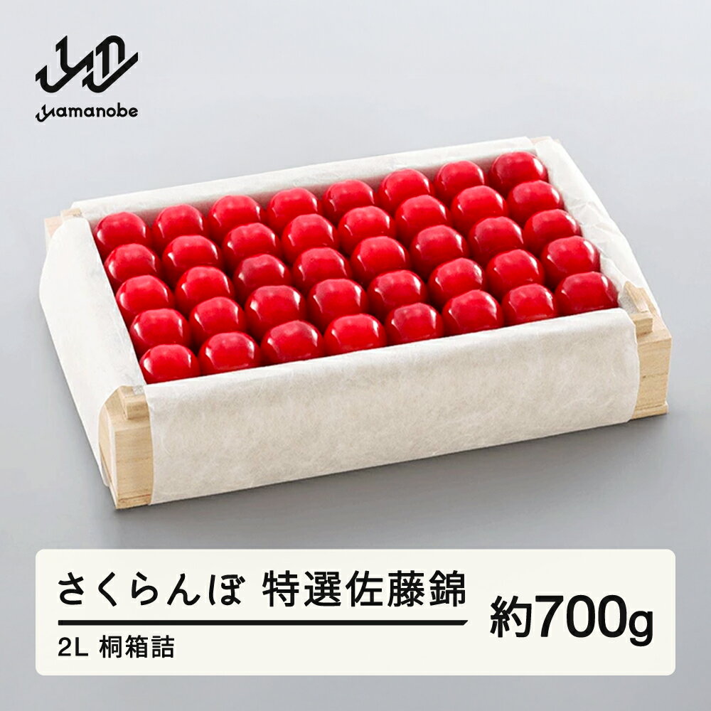 【ふるさと納税】 《
