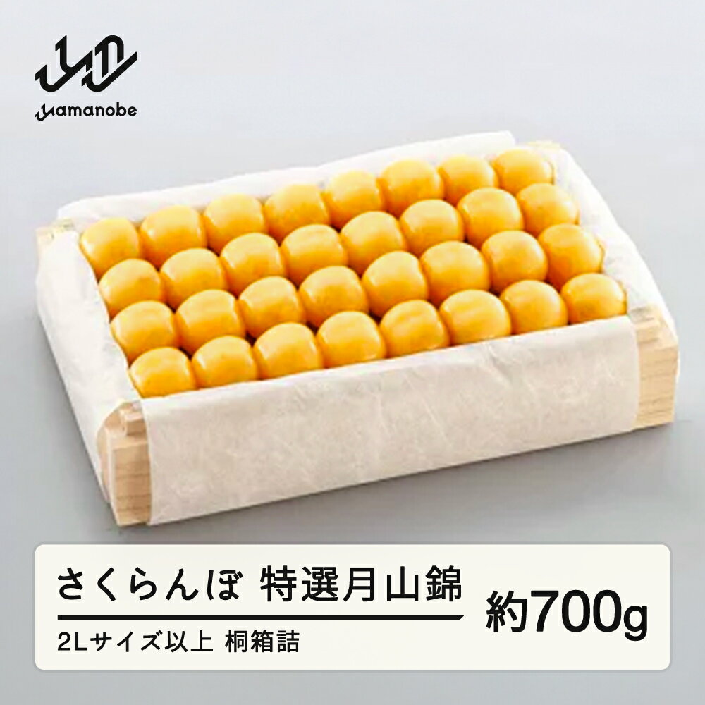 【ふるさと納税】《先行予約》202...