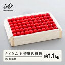 【ふるさと納税】 《先行予約》2026年 山形県産 特選佐藤錦 桐箱詰め 約1100g やまのべ多田耕太郎のさくらんぼ サクランボ 送料無料 F20A-060