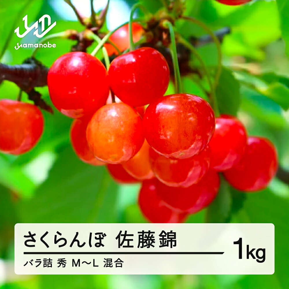 《先行予約》2025年 山形県産 さくらんぼ 相澤農園 佐藤錦 1kg 秀 M〜L 混合 バラ詰 2025年6月中旬から順次発送 送料無料 F20A-111 ※沖縄・離島への配送不可