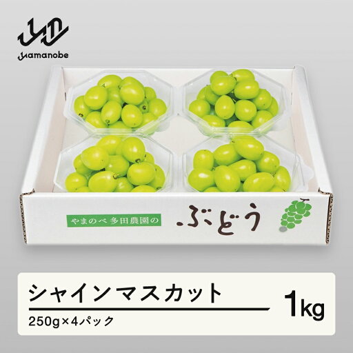 【ふるさと納税】 《先行予約》2025年 山形県産 シャインマスカット ダイヤパック 250g×4パック やまのべ多田農園のぶどう 送料無料 F21A-313 【ふるさと納税】 《先行予約》2025年 山形県産 シャインマスカット ダイヤパック 250g×4パック やまのべ多田農園のぶどう 送料無料 F21A-313