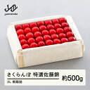 【ふるさと納税】 《先行予約》2026年 山形県産 特選佐藤錦 桐箱詰め 約500g 2L やまのべ多田耕太郎のさくらんぼ サクランボ 送料無料 F20A-505
