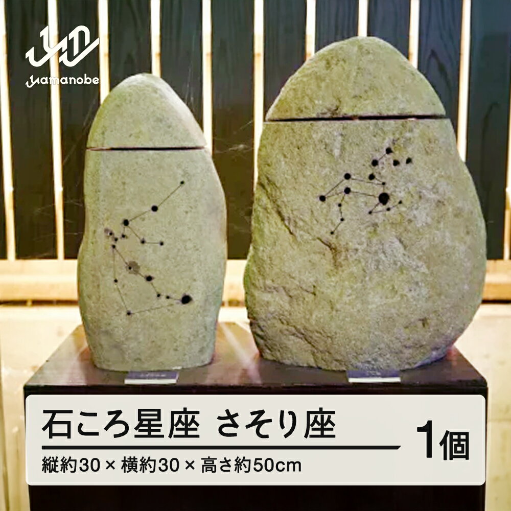 【ふるさと納税】【受注生産】石ころ星座(さそり座) 送料無料 F20A-708