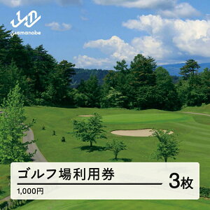 【ふるさと納税】山形ゴルフ倶楽部 ゴルフ場利用券 寄附金額 10000円(利用券3割相当額) 山形県山辺町 送料無料 F20A-739