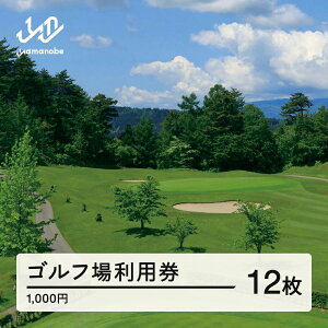 【ふるさと納税】山形ゴルフ倶楽部 ゴルフ場利用券 寄附金額 40000円(利用券3割相当額) 山形県山辺町 送料無料 F20A-742