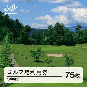 【ふるさと納税】山形ゴルフ倶楽部 ゴルフ場利用券 寄附金額 250000円(利用券3割相当額) 山形県山辺町 送料無料 F20A-747