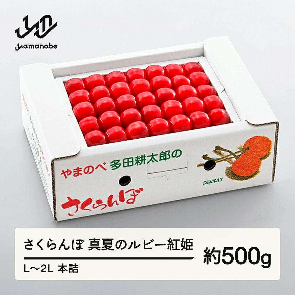 【ふるさと納税】〈先行予約〉 2026年 山形県産 さくらんぼ 真夏のルビー紅姫 約500g L~2L 本詰め やまのべ多田耕太郎のさくらんぼ 《2026年7月中旬頃~順次発送》 多田農園 予約 サクランボ 紅姫 フルーツ くだもの 果物 デザート 山形県 山辺町 送料無料 F20A-786