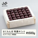 【ふるさと納税】《先行予約》2025年 山形県産 特選サミット 桐箱詰め 約500g やまのべ多田耕太郎のさくらんぼ ギフト 贈答 贈り物 送料無料 F20A-...