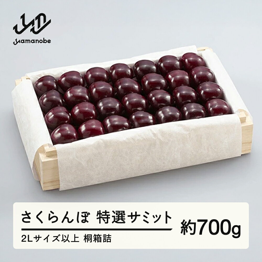 【ふるさと納税】《先行予約》2026年 山形県産 特選サミット 桐箱詰め 約700g やまのべ多田耕太郎のさくらんぼ ギフト 贈答 贈り物 送料無料 F20A-789