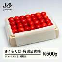 【ふるさと納税】 《先行予約》2026年 山形県産 特選紅秀峰 桐箱詰め 約500g やまのべ多田耕太郎のさくらんぼ サクランボ ギフト 贈答 贈り物 送料無料 F20A-790