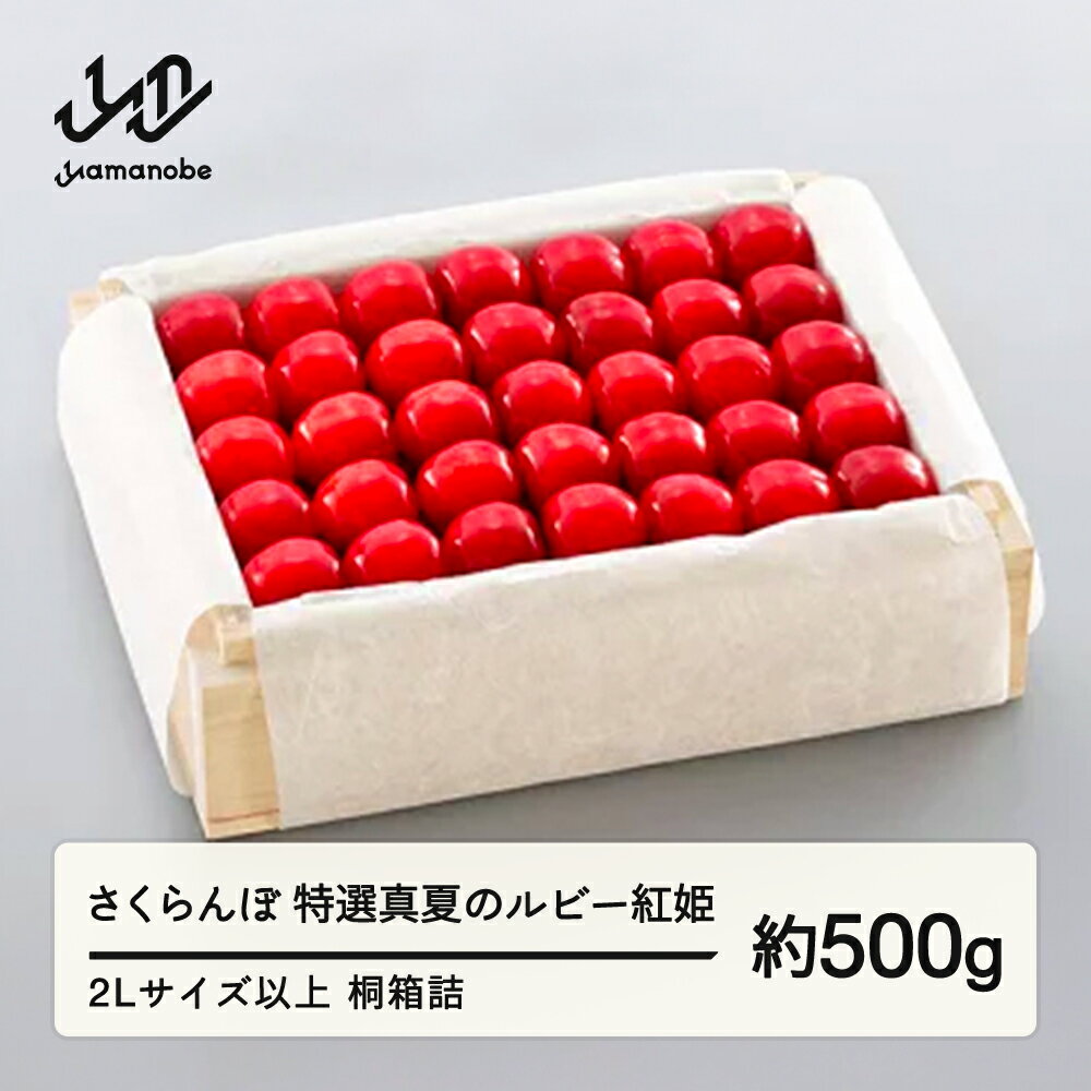 【ふるさと納税】《先行予約》2026年 山形県産 特選「真夏のルビー紅姫」 桐箱詰め 約500g やまのべ多田耕太郎のさくらんぼ ギフト 贈答 贈り物 送料無料 F20A-791