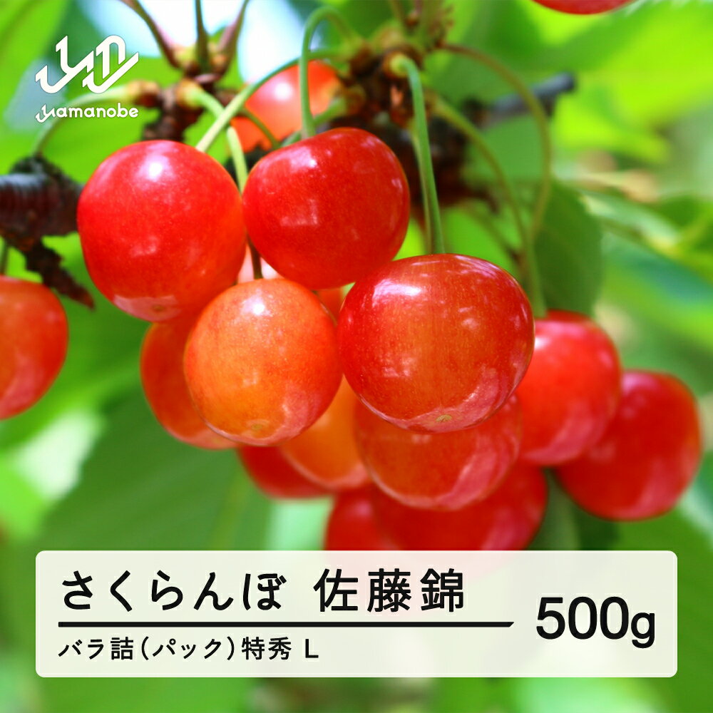 【ふるさと納税】 《先行予約》2025年 山形県産 さくらんぼ 佐藤錦 バラ詰（パック） 500g 特秀 L サクランボ フルーツ 送料無料 F21A-327のサムネイル