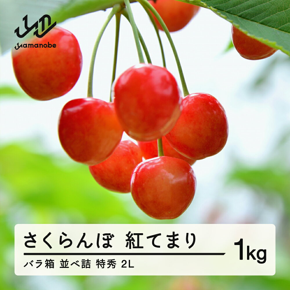 【ふるさと納税】 《先行予約》2025年 山形県産 さくらんぼ 紅てまり バラ箱 並べ詰 1kg 特秀 2L サクランボ フルーツ 送料無料 F21A-330