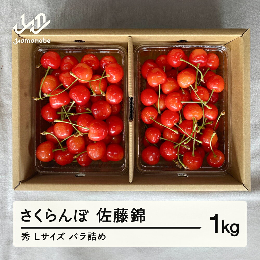 【ふるさと納税】《先行予約》2025年 山形県産 さくらんぼ 佐藤錦 バラ詰め 1kg 秀 L サクランボ フルーツ 果物 送料無料 F21A-335
