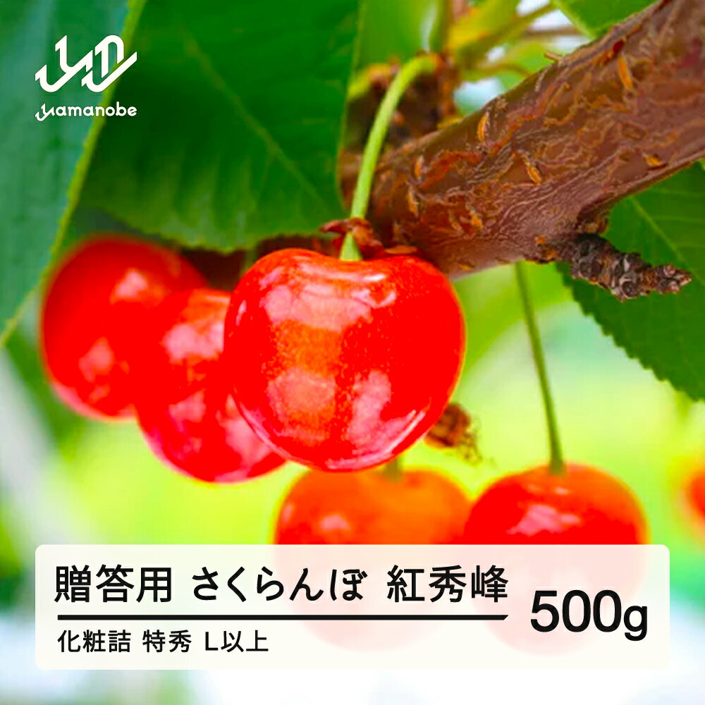 【ふるさと納税】 ≪先行予約≫贈答用 2025年 山形県産 さくらんぼ 相澤農園 紅秀峰500g 特秀 L以上 化粧詰め サクランボ 送料無料 F21A-437 ※沖縄・離島への配送不可
