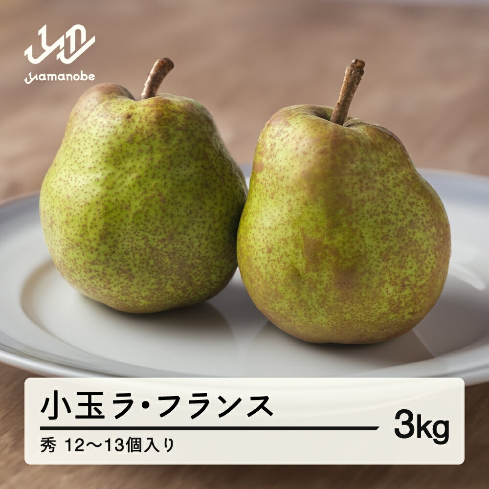 【ふるさと納税】山形県産 小玉ラ・フランス 秀 3kg (12~13個入り) 送料無料 nf-lasyk3