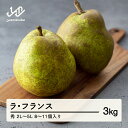 【ふるさと納税】 山形県産 ラ・フランス 秀 2L〜5L 3kg (8~11個入り) 送料無料 nf-lasyx3