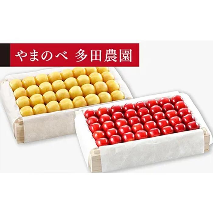 【ふるさと納税】《2025年先行予...