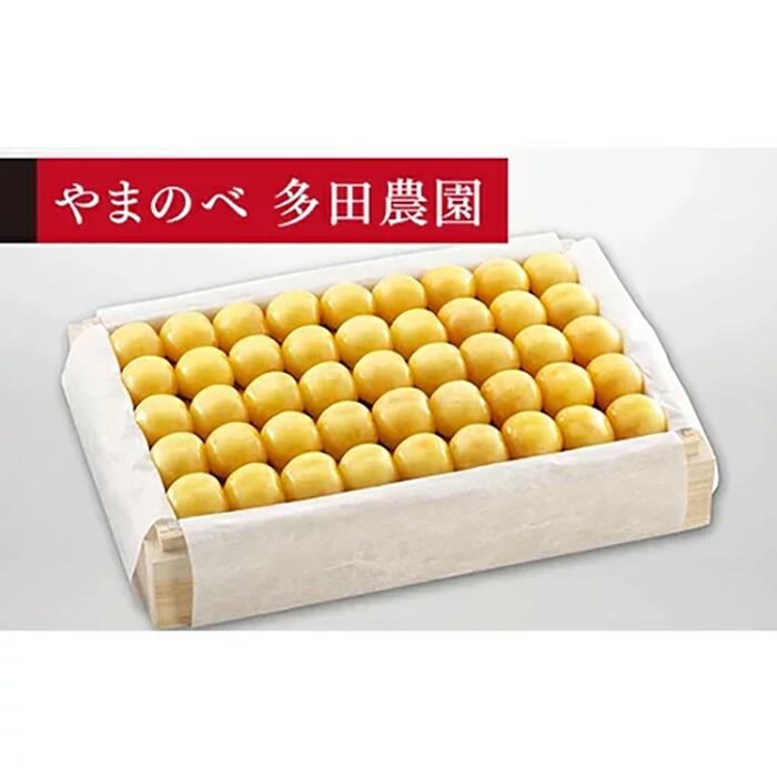 【ふるさと納税】《2025年先行予...