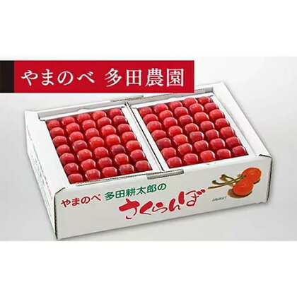 《2024年先行予約》【佐藤錦】手詰 約500g×2【やまのべ多田耕太郎のさくらんぼ 多田農園】期間限定 数量限定 山形県産 サクランボ フルーツ 果物 くだもの F4A-0019