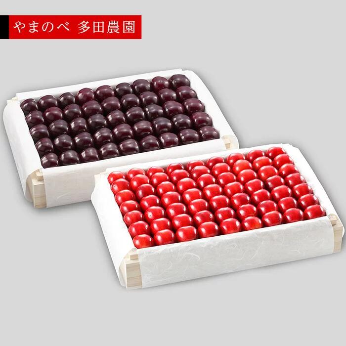 【ふるさと納税】《2025年先行予約》【紅姫・サミット】特選桐箱詰 約1,100g×2【やまのべ多田耕太郎のさくらんぼ 多田農園】期間限定 数量限定 　7月中旬より発送 山形県産 サクランボ フルーツ 果物 くだもの 贈答 F4A-0038
