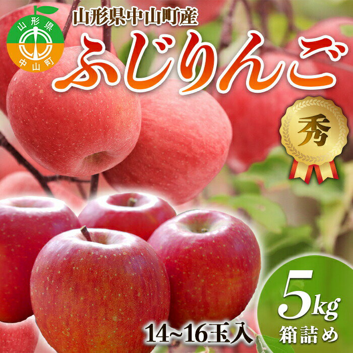 [2024年先行予約]果物の郷 中山町からお届けします!「ふじりんご」期間限定 数量限定 リンゴ 林檎