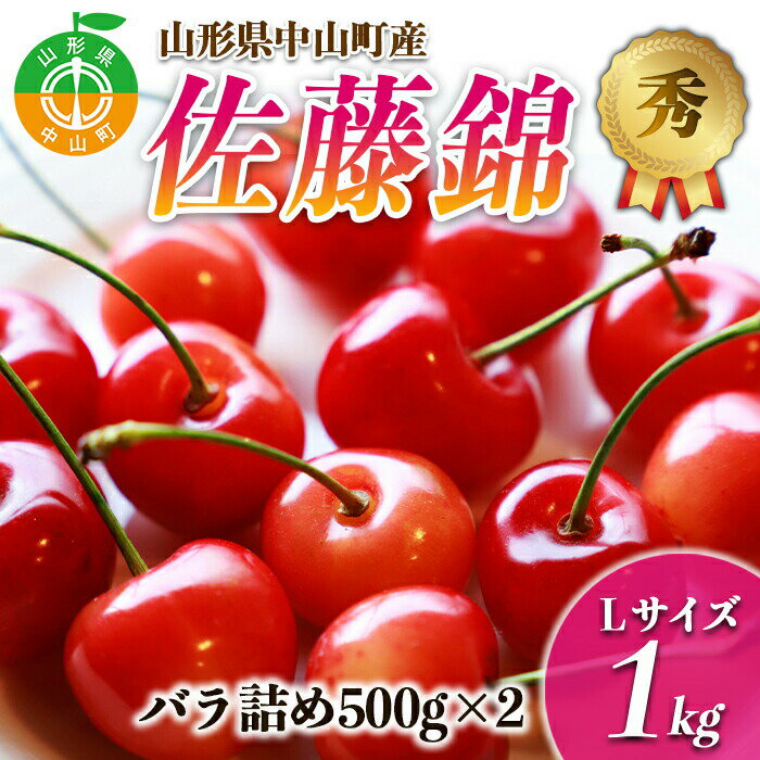 [2024年先行予約]果物の郷 中山町からお届けします!さくらんぼ「佐藤錦」期間限定 数量限定 山形県産 サクランボ フルーツ 果物 くだもの 贈答