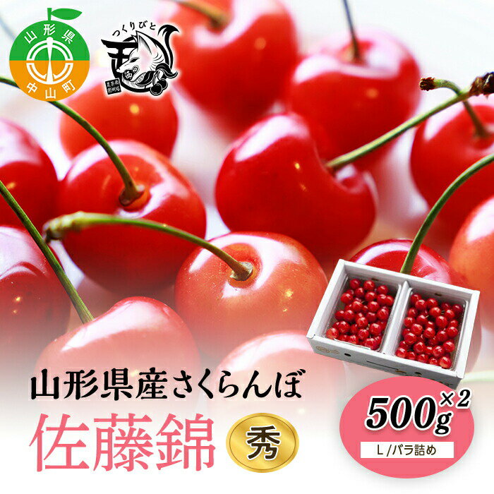 《先行予約・期間限定》さくらんぼ 佐藤錦 秀L 500g×2《バラ詰め》数量限定 サクランボ フルーツ 果物 くだもの F4A-0073