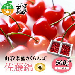 【ふるさと納税】《先行予約・期間限定》さくらんぼ 佐藤錦 秀L 500g×2《バラ詰め》数量限定 サクランボ フルーツ 果物 くだもの F4A-0073