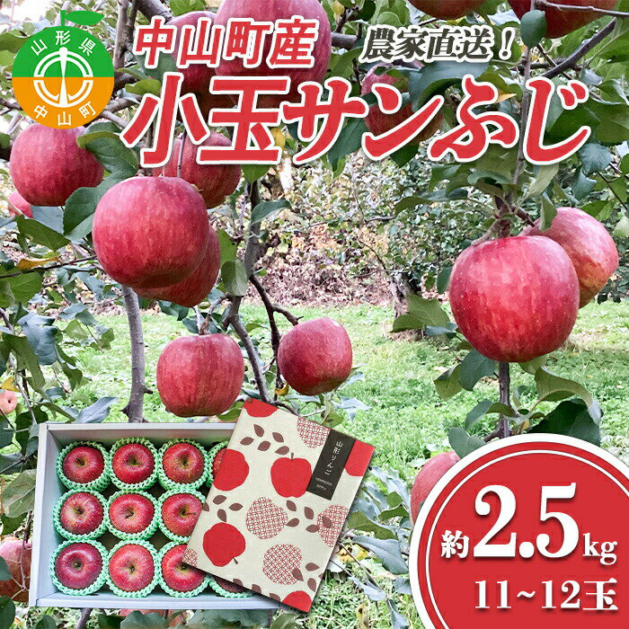 19位! 口コミ数「0件」評価「0」≪2024年先行予約≫ 農家直送 山形県中山町産 小玉サンふじりんご 約2.5kg（11~12玉） 2024年12月中旬より発送 数量限定 ･･･ 