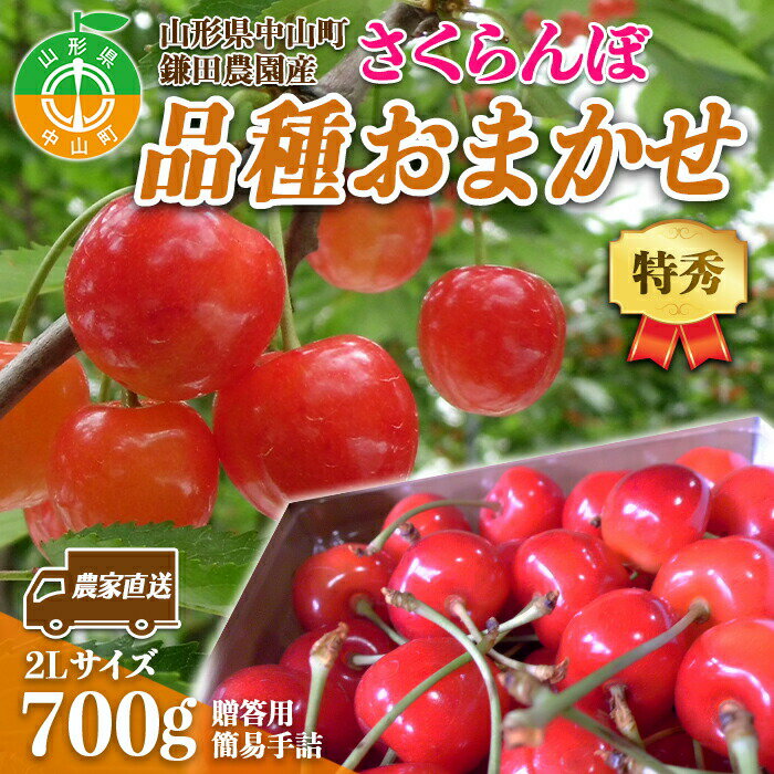 [2024年度先行受付] 農家直送 山形県中山町産 さくらんぼ品種おまかせ[特秀] 2L 贈答用 簡易手詰 700g 期間限定 数量限定 鎌田農園 鎌田農園 果物 くだもの フルーツ サクランボ