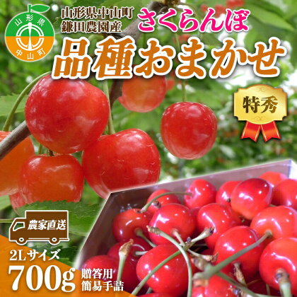 《2024年度先行受付》 農家直送 山形県中山町産 さくらんぼ品種おまかせ【特秀】 2L 贈答用 簡易手詰 700g 期間限定 数量限定 鎌田農園 鎌田農園 果物 くだもの フルーツ サクランボ F4A-0093