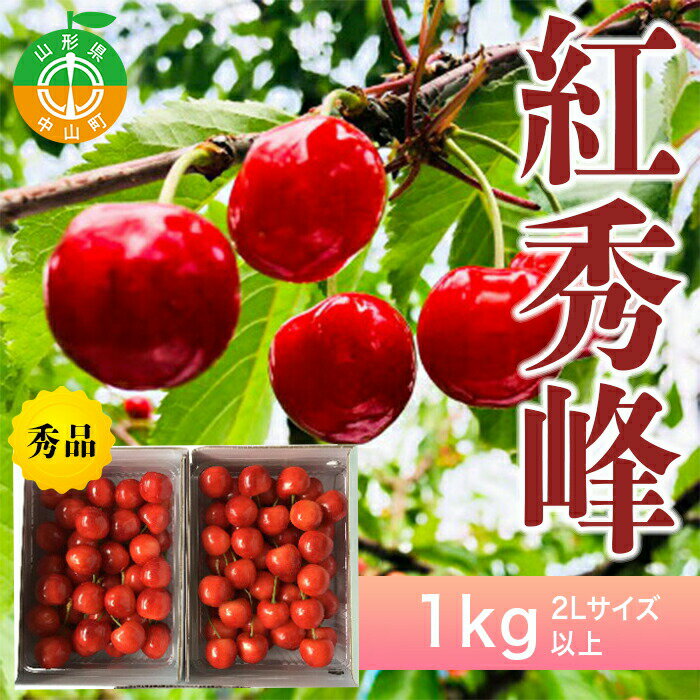 [令和6年先行予約]山形県中山町産さくらんぼ[紅秀峰秀品]1kg 2Lサイズ以上 数量限定 山形県産 サクランボ フルーツ 果物