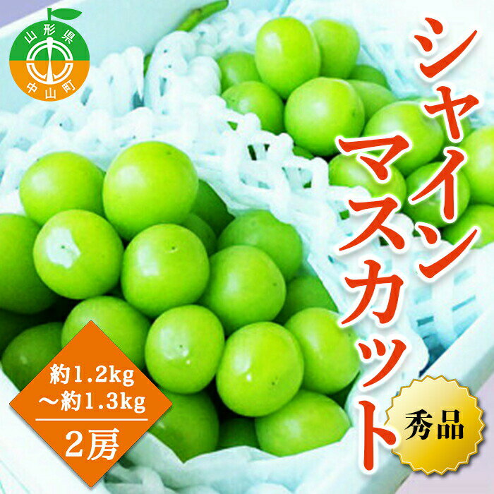 7位! 口コミ数「1件」評価「5」【2024年先行予約】山形県中山町産シャインマスカット 秀品 約1.2kg～約1.3kg(2房) 期間限定 数量限定 山形県産 フルーツ 高･･･ 