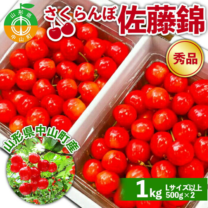 【ふるさと納税】《令和6年先行予約》山形県中山町産さくらんぼ《佐藤錦秀品》 1kg Lサイズ以上 数量...