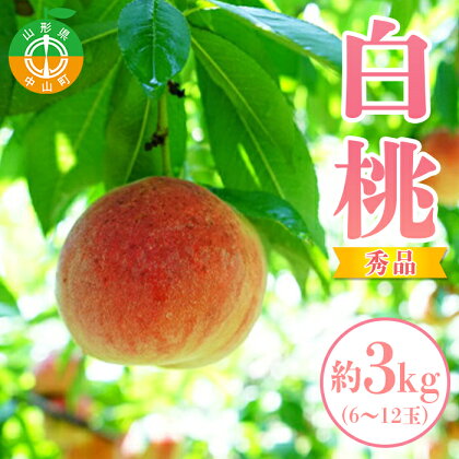 【2024年先行予約】山形県中山町産白桃 約3kg(6玉～12玉) 期間限定 数量限定 山形県産 フルーツ くだもの 果物 もも モモ F4A-0107