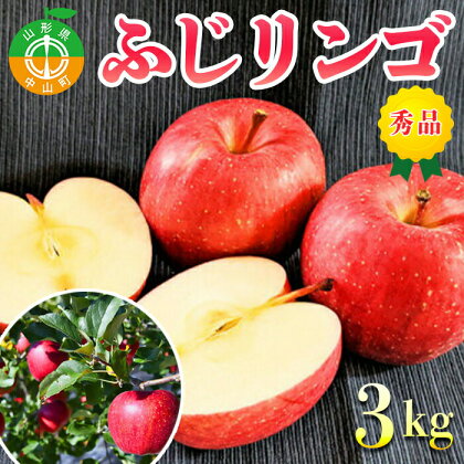 【2024年先行予約】山形県中山町産ふじリンゴ《秀品》 3kg 期間限定 数量限定 山形県産 フルーツ くだもの 果物 りんご 林檎 F4A-0108