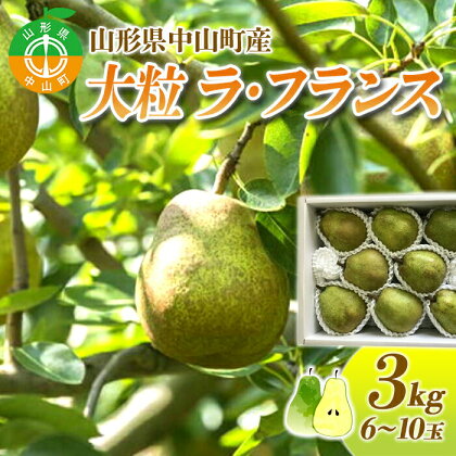 【2024年先行予約】山形県中山町産 大粒「ラ・フランス」3kg(6～10玉) 期間限定 数量限定 山形県産 フルーツ くだもの 果物 ラフランス ナシ 梨 洋なし 洋梨 F4A-0109